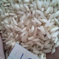 برنج هاشمی|خوردنی و آشامیدنی|زنجان, |دیوار