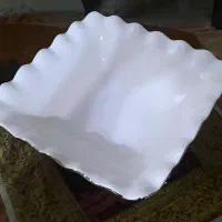 سرویس پذیرایی|ظروف سرو و پذیرایی|تهران, توحید|دیوار