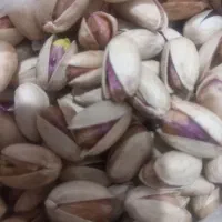 پسته سفیدخندان