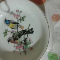 نعلبکی