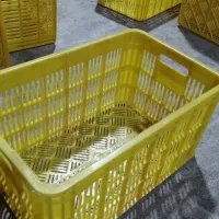 سبد ۲۵ کیلویی با کیفیت درجه یک