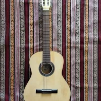 دو عدد گیتار