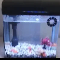 آکواریوم شیشه خم وارداتی