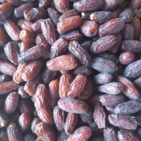 خریدار خرمای بریم