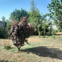 خانه‌ویلایی‌به‌متراژ۱۷۰۰متر