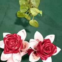 شاباش پول ارایی