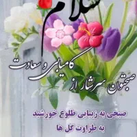 کم کردن کیف مشکی بنام بهنام فرخی  مدارک  ....