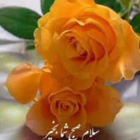 آپارتمان-اجاره