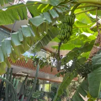 معاوضه ویلا شمال با اپارتمان در قشم