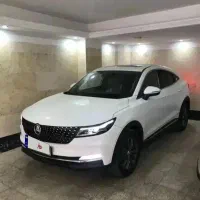 دیگنیتی ۱۴۰۲ در حد خشک و فوق العاده