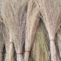 فروش جارو ساقه بلند