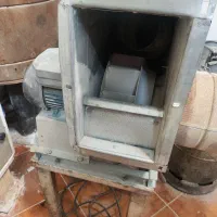 جت فن فن قوی