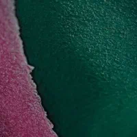 دوخواب-روبه-افتاب-بیدرام-خانه-کارگر