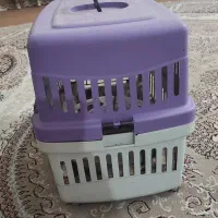 باکس گربه و سگ