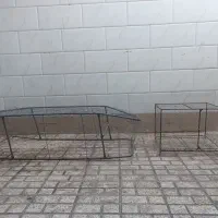 قفس مرغ