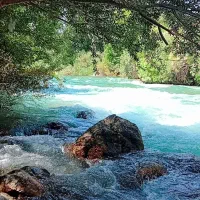 ویلالب اب  ،رفتینگ
