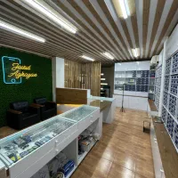 پخش قطعات و تعمیرات تخصصی موبایل|خدمات رایانه‌ای و موبایل|کرج, شهرک نهال و بذر|دیوار