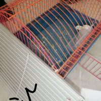 قفس وطلق موتور وباکس کنتراب قیمت منصفانه|لوازم جانبی حیوانات|سبزوار, گلشن|دیوار