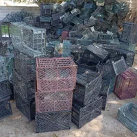 سبد