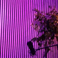 استدیو تولیدمحتوا / تولیدمحتوا / اجاره استدیو /|اجارهٔ کوتاهمدت دفتر کار و فضای آموزشی|تهران, توحید|دیوار