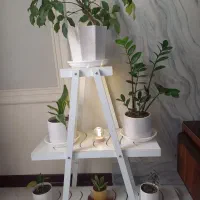 استند گل