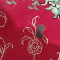قالی ۱۲ متری|فرش|اصفهان, ناصرخسرو|دیوار