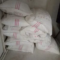 گچ سفید درسا