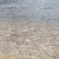 تعدادی قطعه زمین بهار۱۱ قطعات۱۷۰،۲۰۰