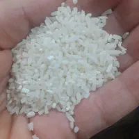 برنج نیمدانه طارم فریدونکنار