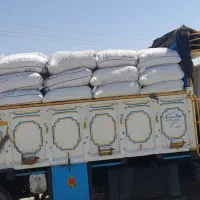کود کبوترر و ح شی