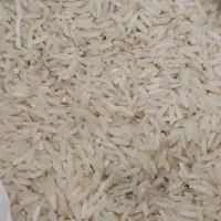 برنج فجر