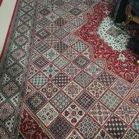 فرش 12 متری سلیمان|فرش|قم, شهرک امام حسن|دیوار