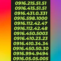 0916.010.3004