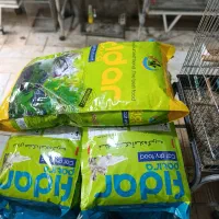 غذای فیدار گربه رسید