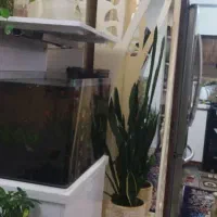 استند کنار کابینت|کتابخانه، شلف، قفسههای دیواری|خمینیشهر, |دیوار