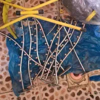 رگال تیله ای