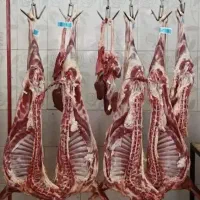 گوشت گوسفند  مرغ و  ماهی تخم مرغ  کالا  برگ
