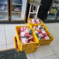 کارگر ساده و ماهر