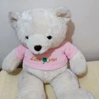 دو عدد عروسک تمیز در حد نو
