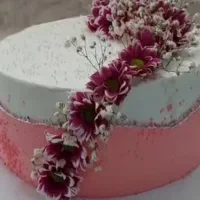 انواع کیک|خوردنی و آشامیدنی|بیرجند, |دیوار