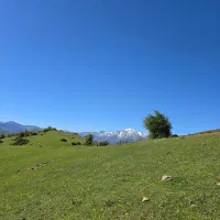 زمین یا ملک کلنگی داخل بافت