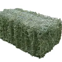 یونجه خشک پرس