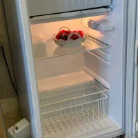 یخچال مینی پلار