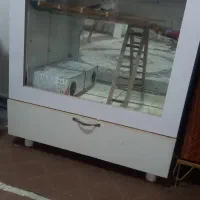 قفس عروس هلندی یا پرنده دیگر