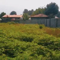 ۸۶۰ متر مسکونی شفت شالماء|فروش زمین و ملک کلنگی|احمدسرگوراب, |دیوار