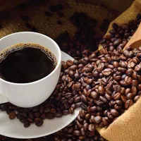 انواع دمنوش و چای و قهوه وهات چاکلت