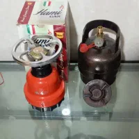پیکنیک و زغال بامبو چینی
