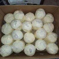 کره سنتی،خالص|عمده‌فروشی|بناب, |دیوار