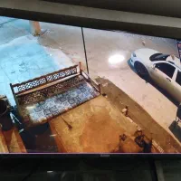 تلوزیون اسنوا 55