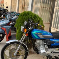 نیکتاز۴۰۴  درجه یک